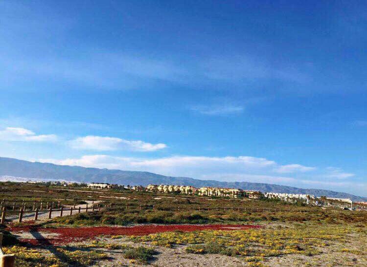 Apartamento Lujo, Primera Linea Playa, Garaje, Wifi, Piscina Climatizada 로쿠타스드마르 외부 사진